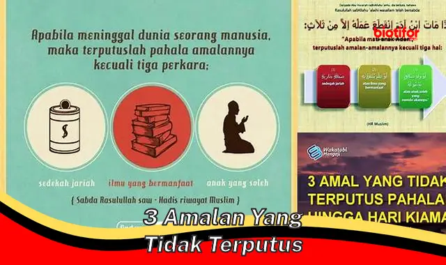 Cara Mudah Amalkan "3 Amalan yang Tidak Terputus" untuk Mendekatkan Diri pada Allah