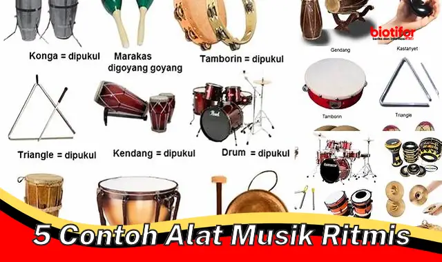 Kenali 5 Jenis Alat Musik Ritmis yang Populer dan Berguna