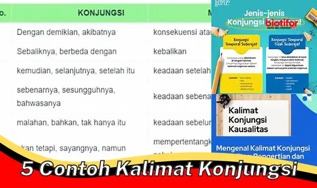 5 Contoh Kalimat Konjungsi yang Jelas dan Mudah Dipahami