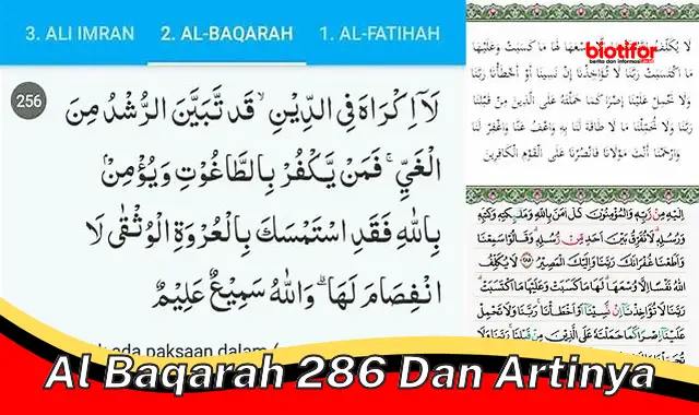 Pahami Makna Penting Al-Baqarah 286 untuk Ibadah Puasa yang Maksimal