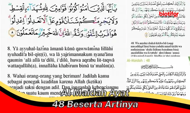 Rahasia Al Maidah Ayat 48: Panduan Makanan dan Minuman Halal untuk Hidup Sehat