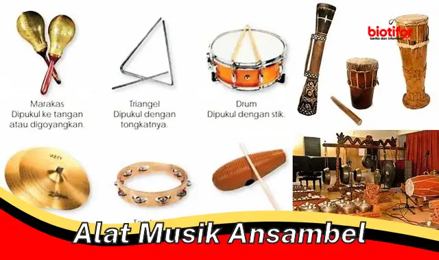 alat musik ansambel alat musik ansambel