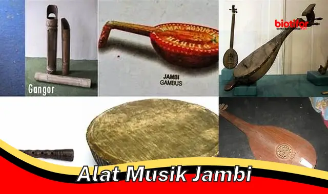 Jelajahi Keunikan Alat Musik Tradisional Jambi: Warisan Budaya yang Mendunia