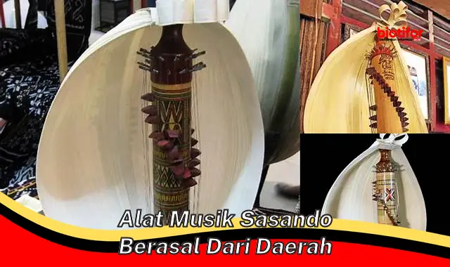 Asal Daerah Alat Musik Khas NTT: Mengenal Sasando