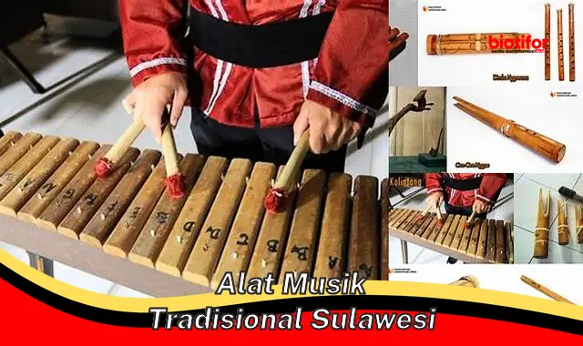 Seputar Alat Musik Tradisional Sulawesi: Kekayaan Budaya yang Patut Dilestarikan
