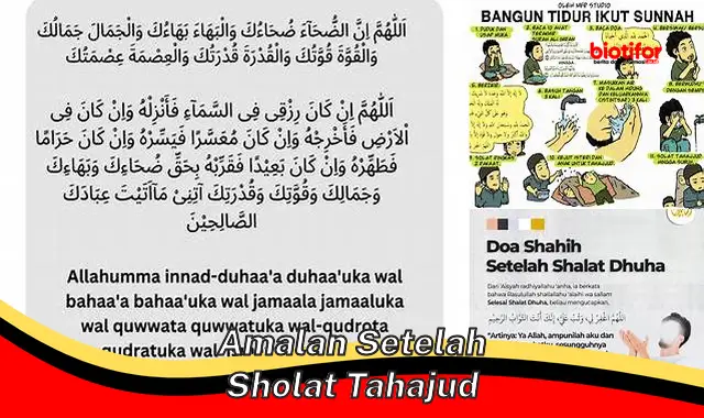 amalan setelah sholat tahajud amalan setelah sholat tahajud