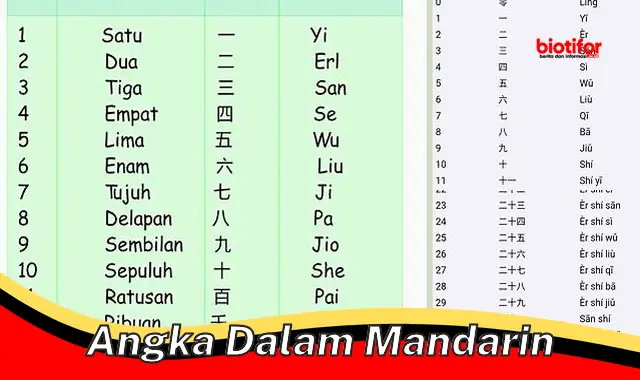 angka dalam mandarin angka dalam mandarin