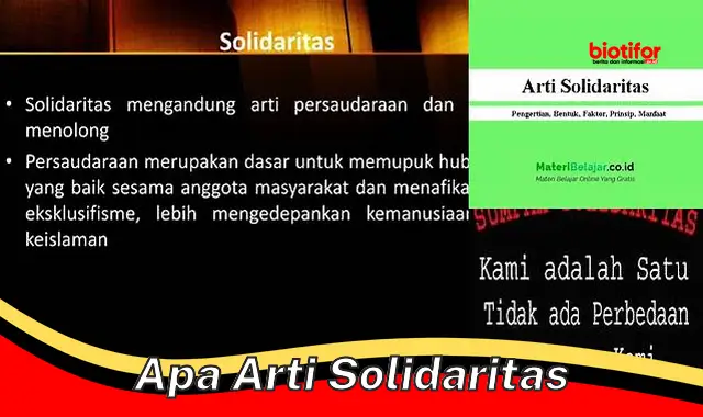 apa arti solidaritas apa arti solidaritas