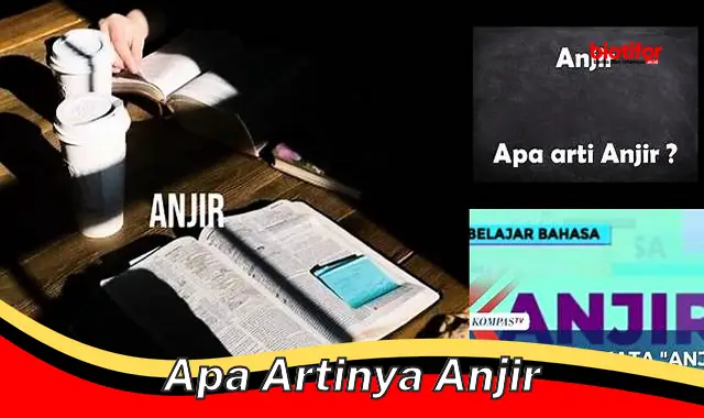 apa artinya anjir apa artinya anjir