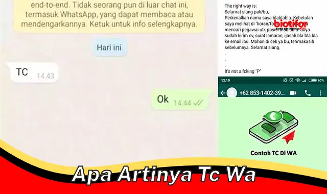 apa artinya tc wa apa artinya tc wa