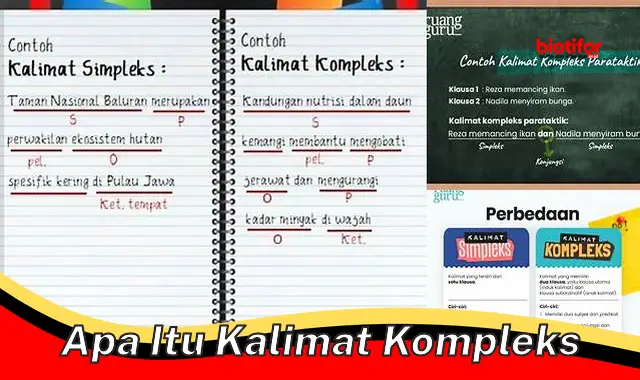 Mengenal Kalimat Kompleks: Panduan Lengkap