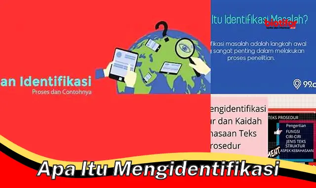 apa itu mengidentifikasi apa itu mengidentifikasi