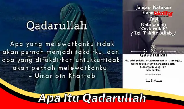 Memahami Qadarullah: Takdir yang Telah Ditentukan