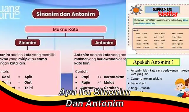 apa itu sinonim dan antonim apa itu sinonim dan antonim