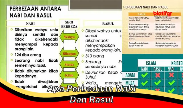 Perbedaan Penting antara Nabi dan Rasul: Panduan Lengkap