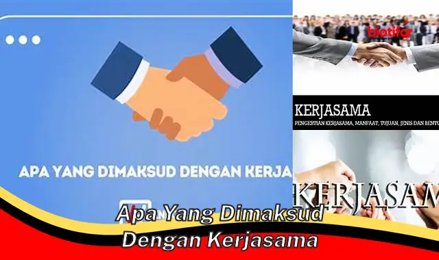 apa yang dimaksud dengan kerjasama apa yang dimaksud dengan kerjasama