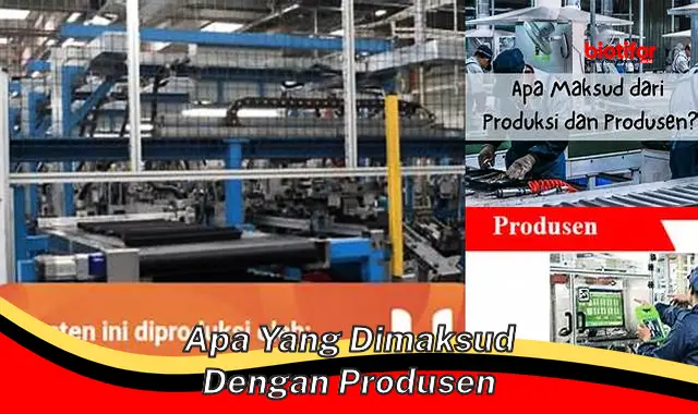 apa yang dimaksud dengan produsen