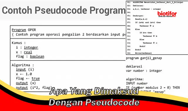 apa yang dimaksud dengan pseudocode apa yang dimaksud dengan pseudocode