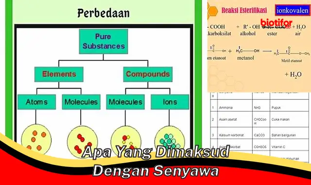 apa yang dimaksud dengan senyawa apa yang dimaksud dengan senyawa