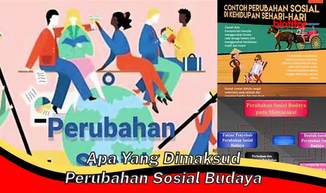 Memahami Perubahan Sosial Budaya: Definisi dan Dampaknya