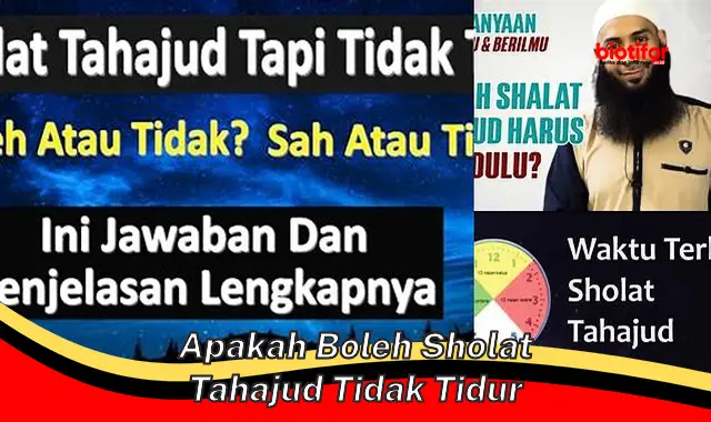 Bolehkan Sholat Tahajud Tanpa Tidur Dulu? Ini Penjelasan Lengkapnya