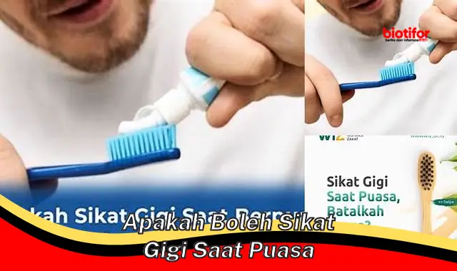 apakah boleh sikat gigi saat puasa apakah boleh sikat gigi saat puasa