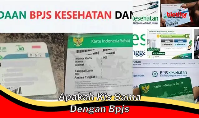 Apakah KIS dan BPJS Kesehatan Sama? Panduan Lengkap!