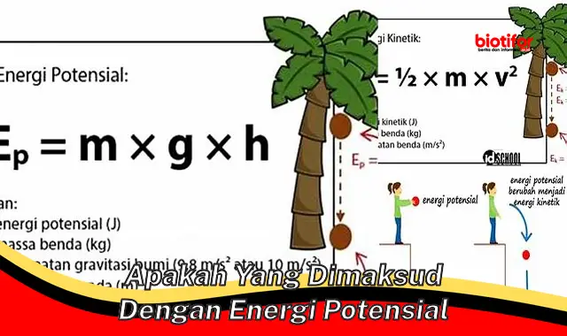 apakah yang dimaksud dengan energi potensial apakah yang dimaksud dengan energi potensial