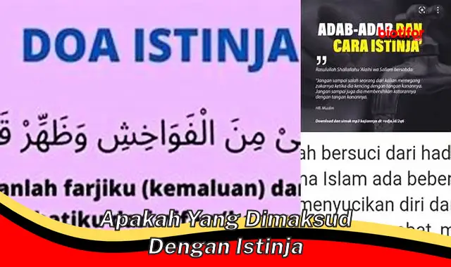 apakah yang dimaksud dengan istinja apakah yang dimaksud dengan istinja