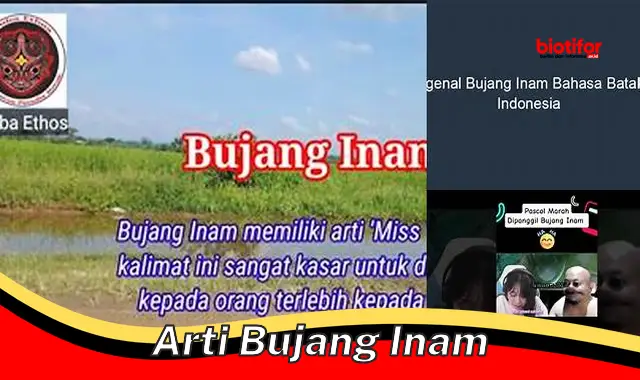 arti bujang inam arti bujang inam