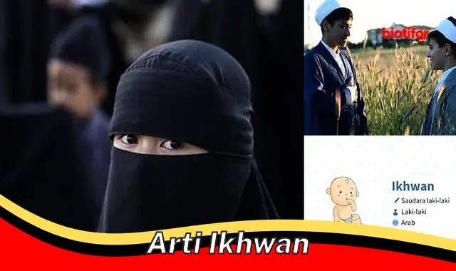 arti ikhwan arti ikhwan
