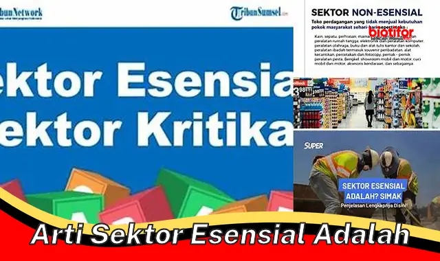 arti sektor esensial adalah arti sektor esensial adalah