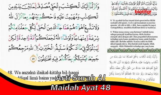 arti surah al maidah ayat 48 arti surah al maidah ayat 48