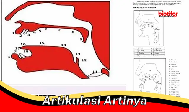 Pentingnya Artikulasi: Urai Maknanya untuk Komunikasi Efektif