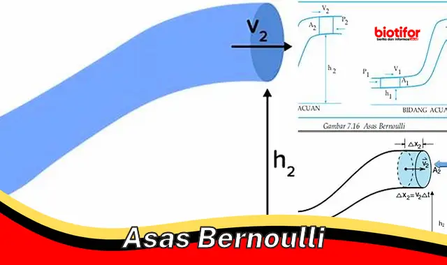 Memahami Asas Bernoulli: Prinsip Penting dalam Fisika Fluida