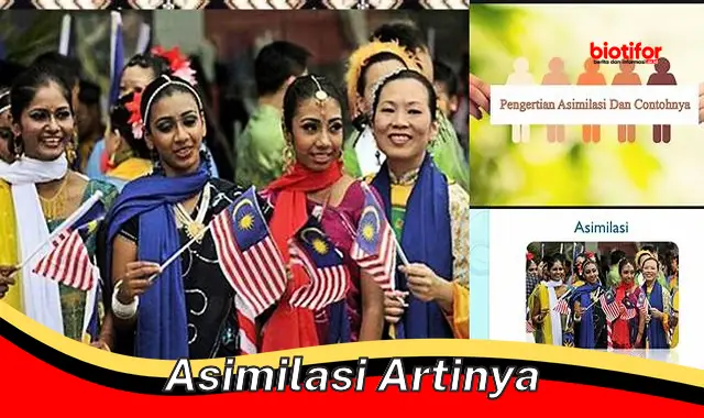 asimilasi artinya asimilasi artinya