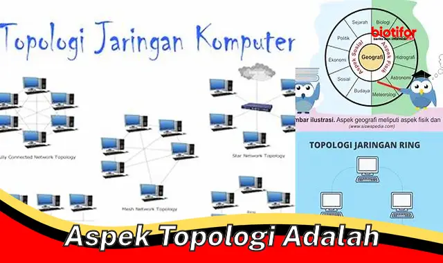 Pengertian dan Jenis-Jenis Aspek Topologi