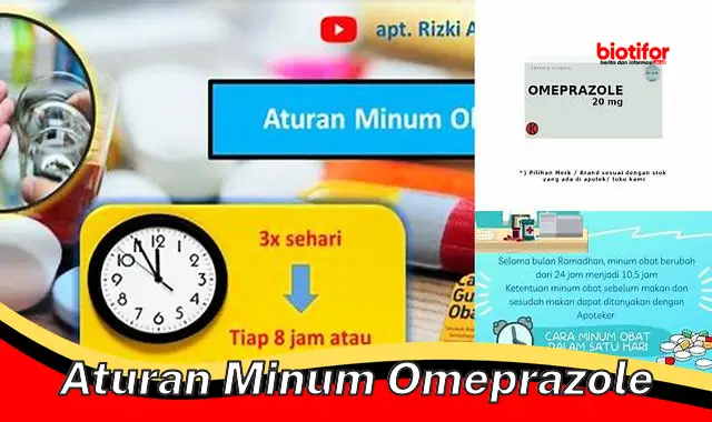 Panduan Lengkap Aturan Minum Omeprazole untuk Kesehatan Pencernaan yang Optimal