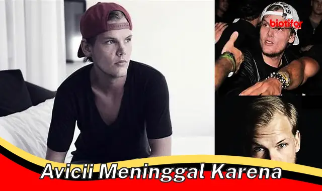 Tragedi Meninggalnya Avicii: Alasan dan Dampaknya