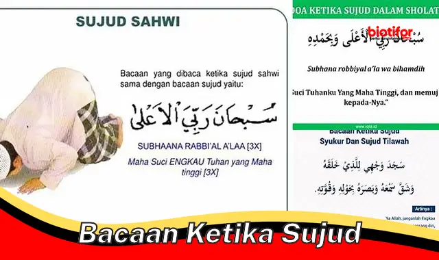 Bacaan Ketika Sujud: Panduan Lengkap untuk Kekhusyukan dan Pahala