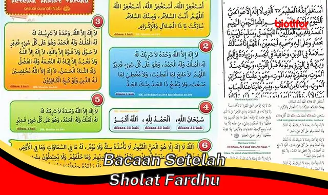 Bacaan Lengkap Setelah Sholat Fardhu: Panduan untuk Pahala Berlipat