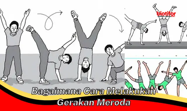 Rahasia Menguasai Gerakan Meroda untuk Pemula dan Profesional