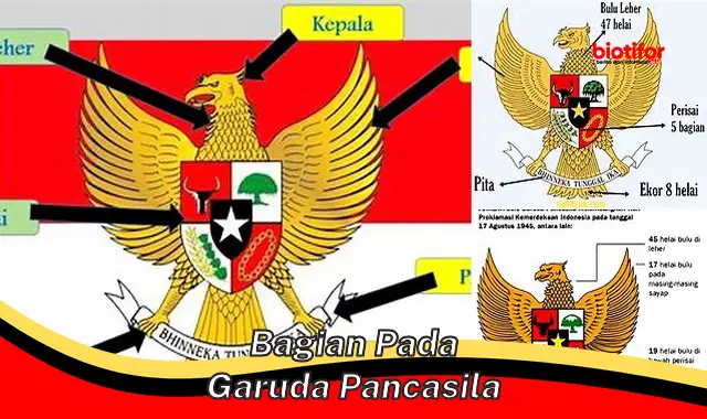 Bagian-bagian Garuda Pancasila: Simbol Kebesaran Bangsa Indonesia
