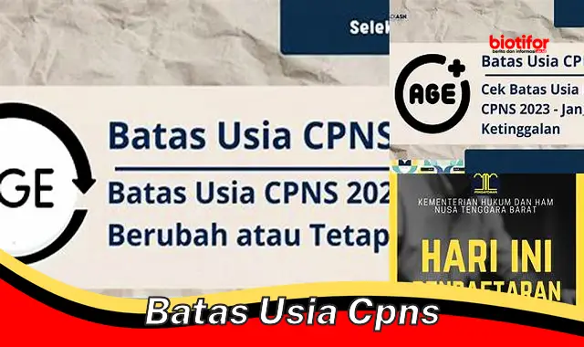 Batas Usia CPNS: Panduan Lengkap untuk Pelamar