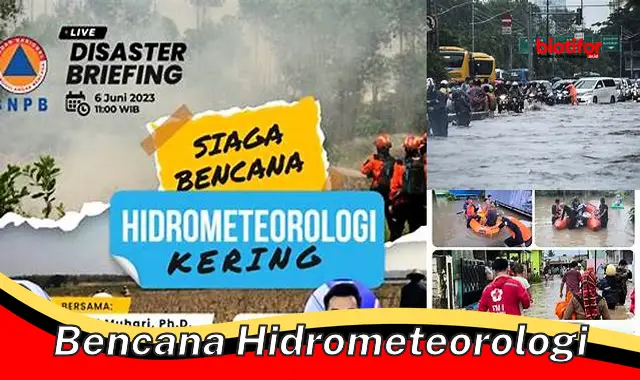 Pahami Bencana Hidrometeorologi untuk Indonesia yang Lebih Aman