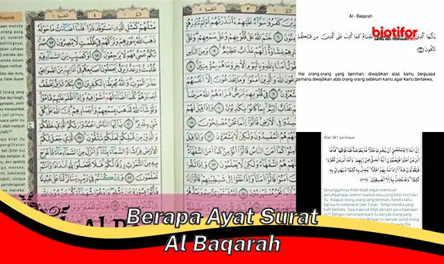 berapa ayat surat al baqarah