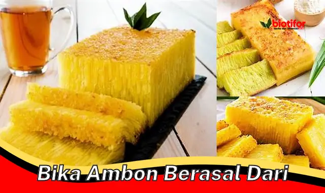 bika ambon berasal dari bika ambon berasal dari