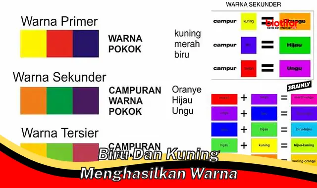 Warna Indah Hasil Perpaduan Biru dan Kuning