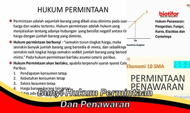 bunyi hukum permintaan dan penawaran bunyi hukum permintaan dan penawaran