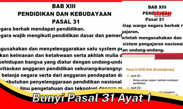 bunyi pasal 31 ayat 1 bunyi pasal 31 ayat 1